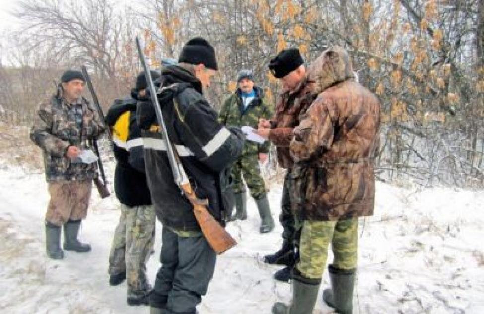 В Здвинском и еще шести районах области браконьеры убили животных на 3,5 миллиона рублей