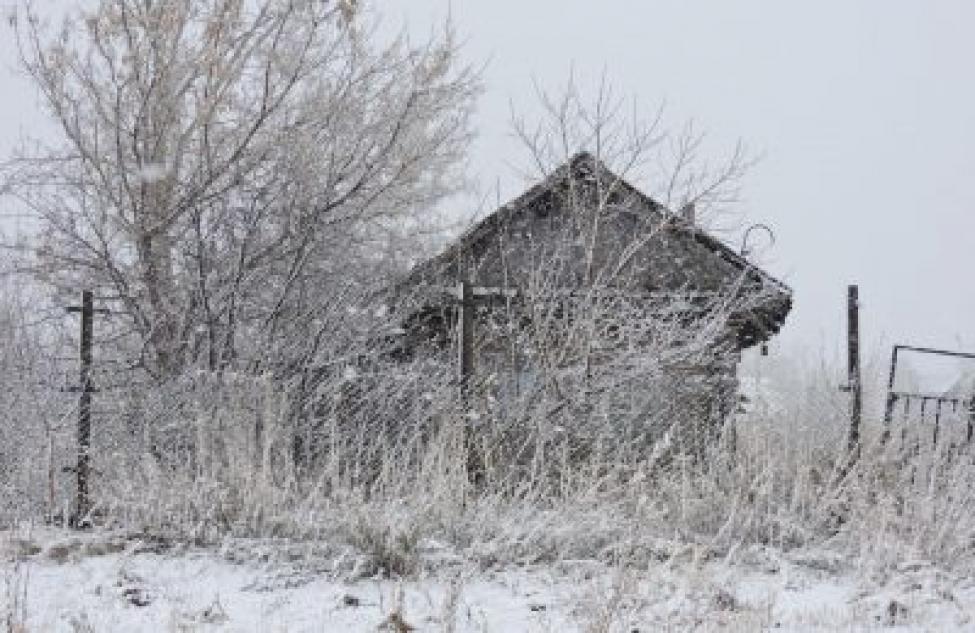 Зима с минусовыми температурами и снегом вернется на этой неделе в Здвинский район