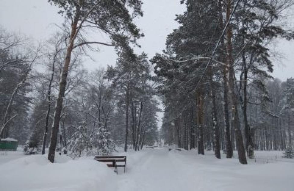 Метели с мокрым снегом и сильный ветер обещают жителям Здвинска в первые выходные марта