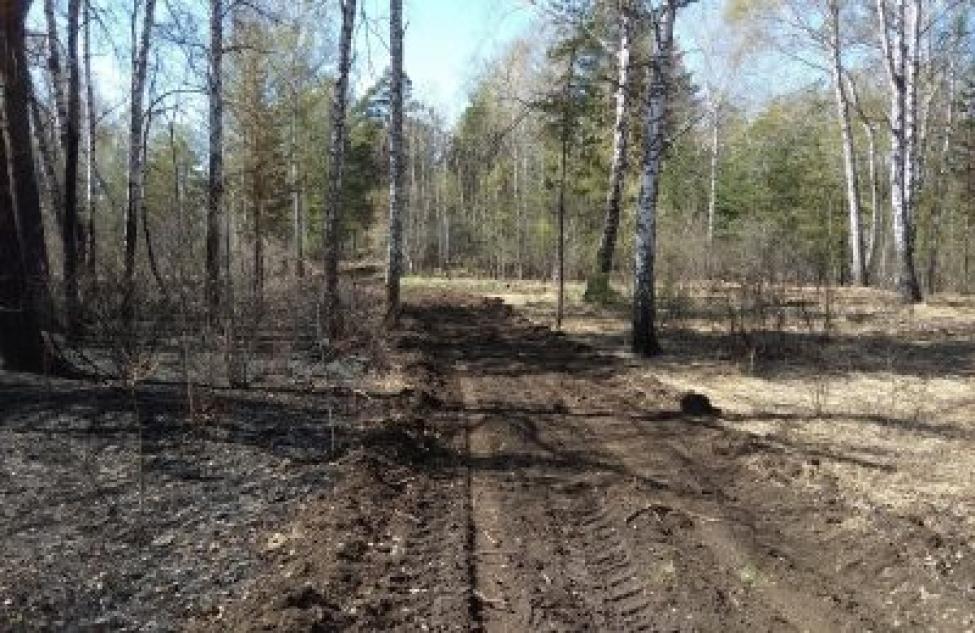 Жителям Здвинского района запретили прогулки в лес, разведение костров и сжигание травы на майских выходных