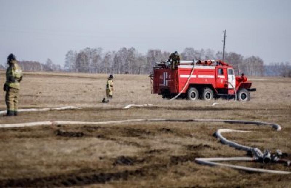 Более сотни поджигателей сухой травы привлекут к ответственности в Новосибирской области