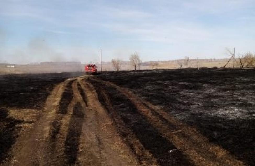 Аграриев за пожары на их территории могут лишить мер господдержки в Новосибирской области