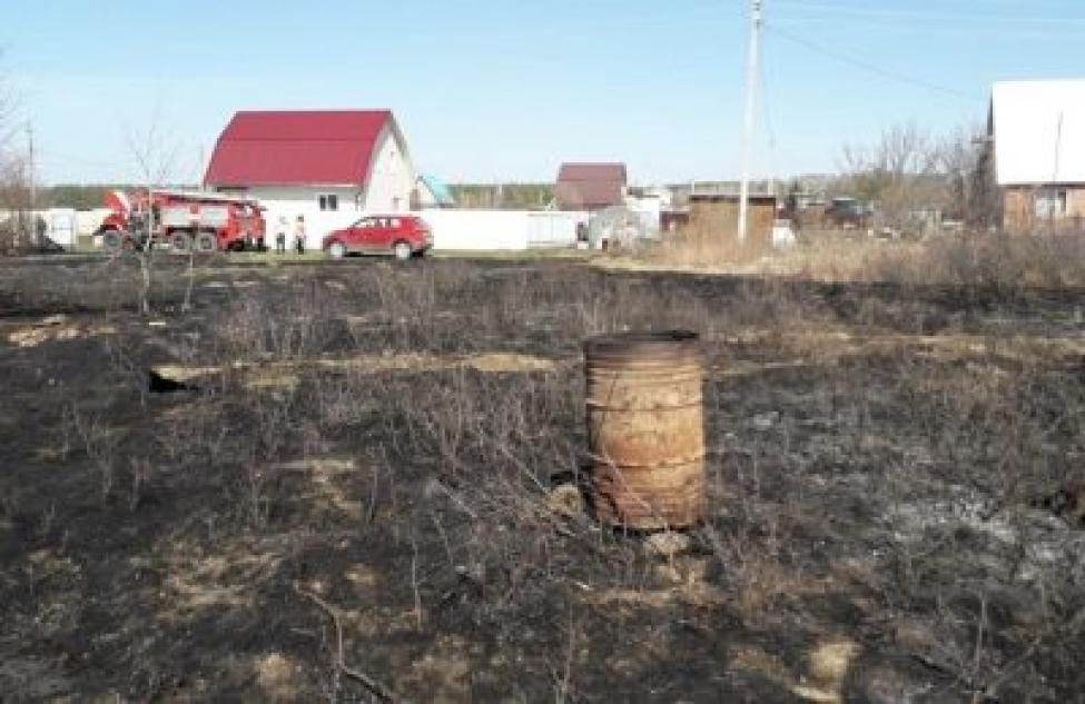 Пожарные и добровольцы ликвидируют в сутки более ста возгораний в Новосибирской области