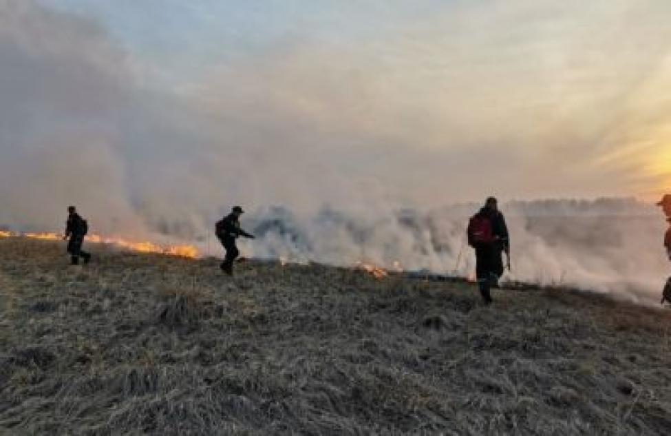 Борьбу с ландшафтными пожарами продолжат в Новосибирской области