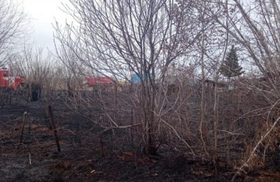 В Новосибирской области более 75% пожаров произошло в результате  пала сухой травы