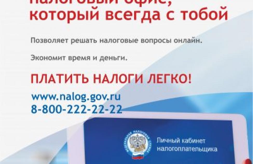 Жителям Новосибирской области рассказали, как платить налоги легко