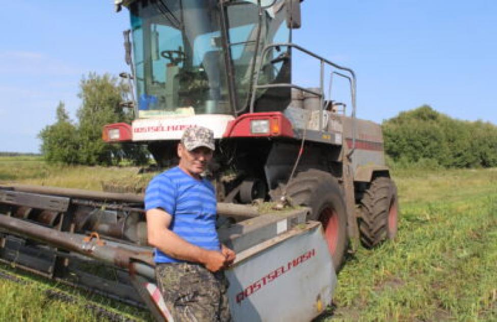 В ЗАО «Кутузовское» приступили к уборке кукурузы