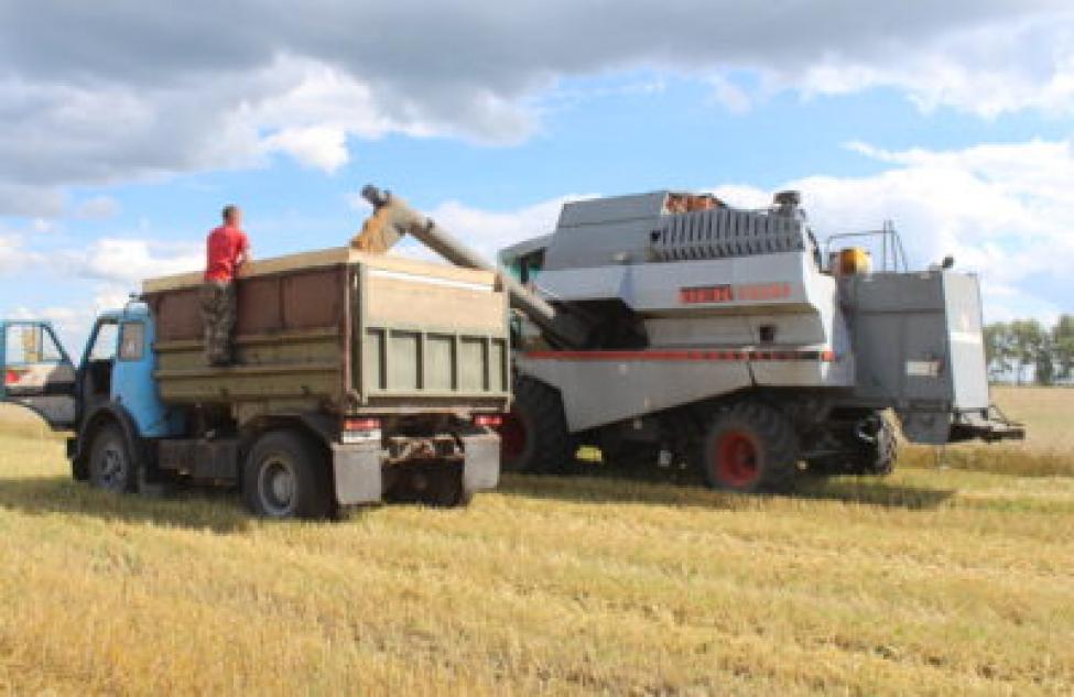 Аграрии Новосибирской области ведут уборочную высокими темпами и планируют намолотить более 3 миллионов тонн зерна