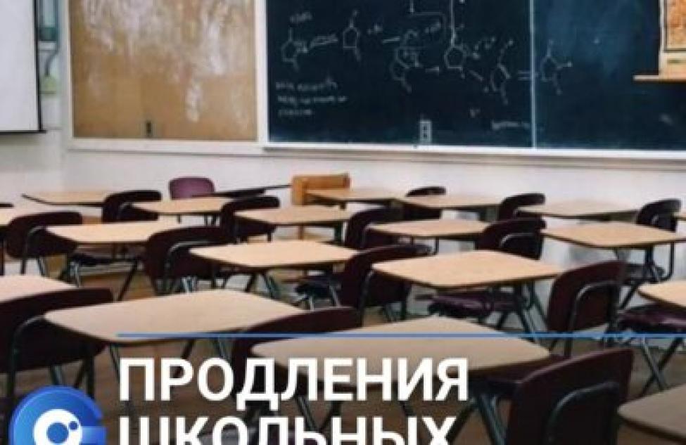 Когда начнутся каникулы у школьников Новосибирской области