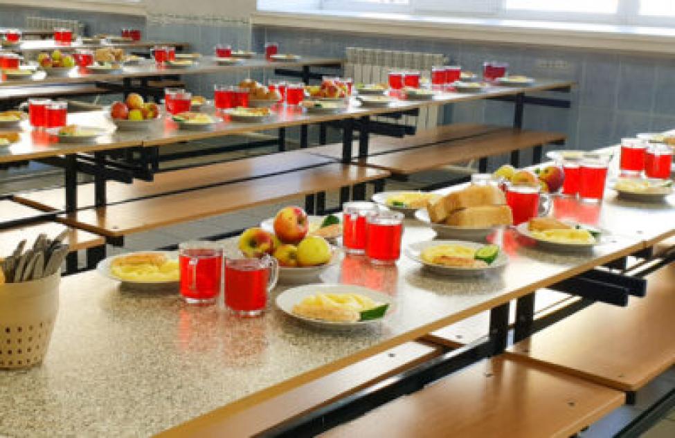 Вопросы питания школьников находятся на особом контроле Правительства Новосибирской области