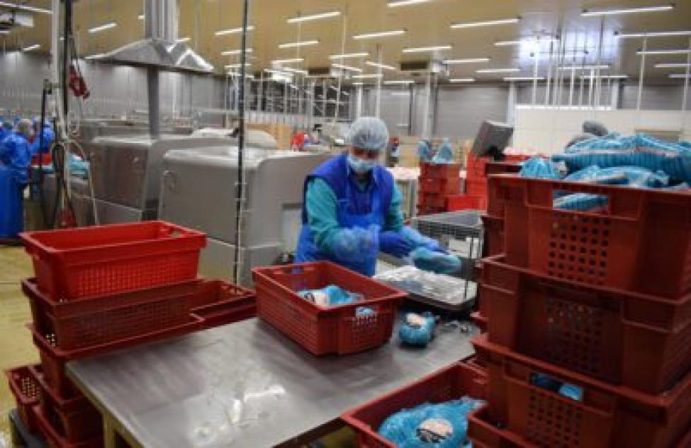Крупный инвестпроект обеспечит жителей Новосибирской области новым полезным продуктом – утиным мясом