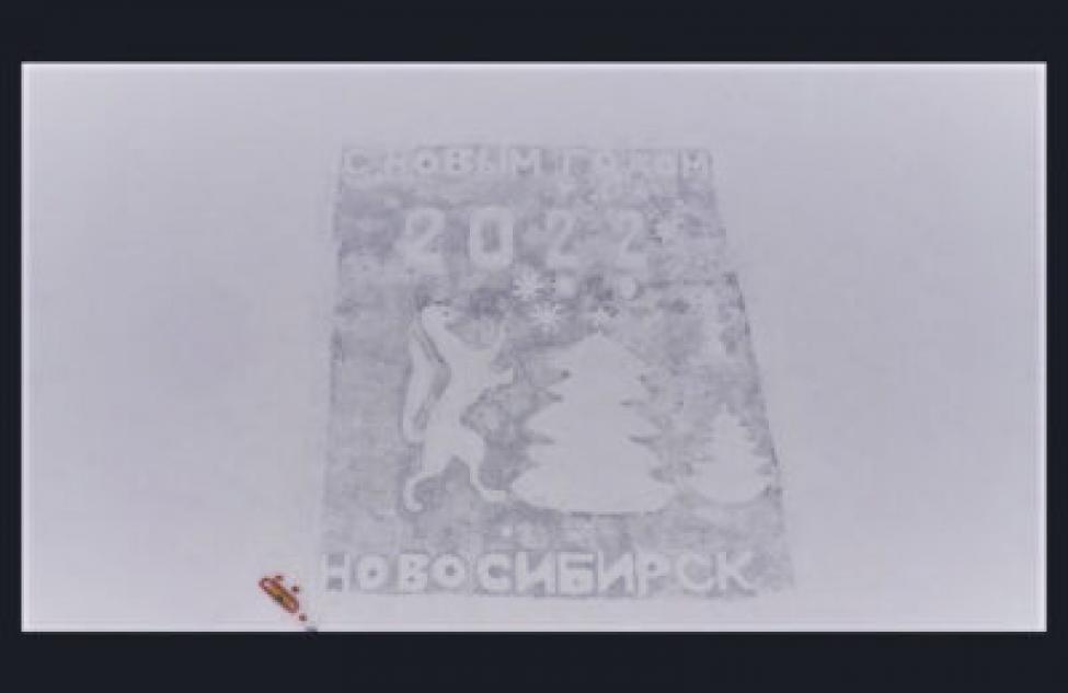 Большой снежной открыткой на льду озера поздравили с наступающим Новым годом жителей региона в рамках экологической акции