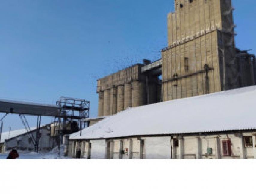 Новосибирская область готова поставить в другие регионы и на экспорт 1,8 млн тонн зерна нового урожая