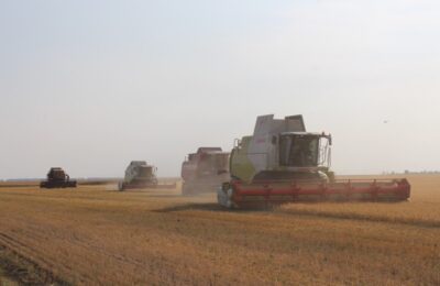 В петраковском сельхозпредприятии урожайность зерновых более 40 центнеров с гектара