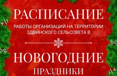 Расписание работы организаций на территории Здвинского сельсовета в новогодние праздники