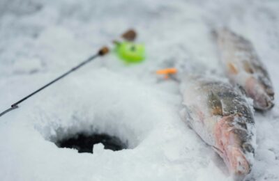 Любители зимней рыбалки в Здвинске объединились на соревнованиях по подледному лову