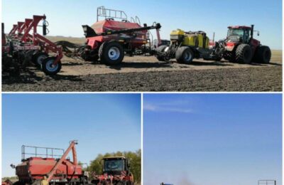 В трех сельхозпредприятиях Здвинского района завершили посевную кампанию