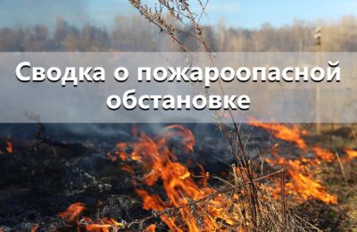 В Новосибирской области продолжают тушить пожары