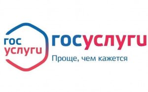 Более 700 тысяч жителей Новосибирской области узнали о своей будущей пенсии