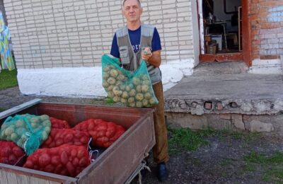 Здвинчане готовят для госпиталей Новосибирска овощную гуманитарную помощь