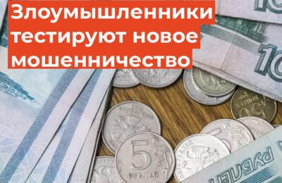 Предупреждение для жителей Новосибирской области о новых видах мошенничества