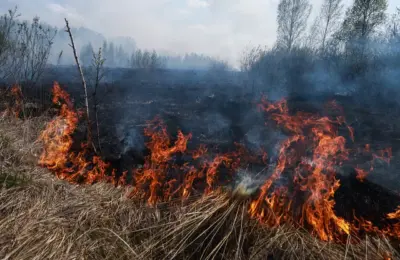 Здвинский район готов к началу пожароопасного сезона