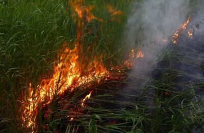 Новосибирская область готовится к пожароопасному сезону