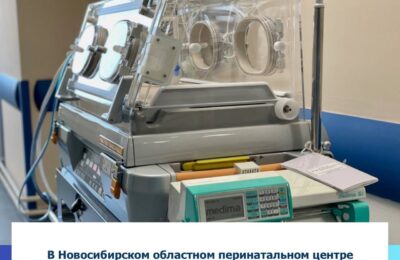 Новорождённых весом менее 500 граммов успешно выхаживают в Новосибирском областном перинатальном центре