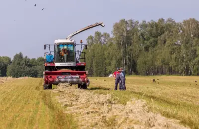 Аграрии Новосибирского района готовятся к весенним полевым работам