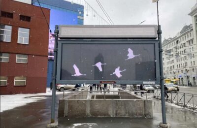 В Новосибирской области проходит акция скорби «Летят журавли»