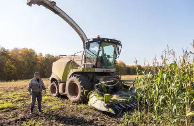 20 млрд рублей направит правительство России на поддержку сельхозпредприятий