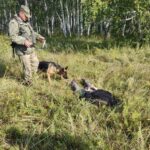 Двух иностранцев задержали на границе в Новосибирской области