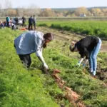 Летняя подработка подростка и единое пособие: что нужно знать