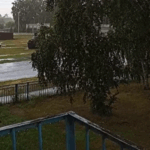 Погода в Здвинском районе на этой неделе изменится