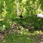 В планах новый проект для детей Здвинского района