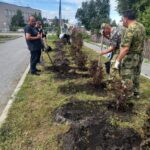 При активном участии администрации Здвинского района и Здвинского сельсовета, реализован масштабный проект по благоустройству и озеленению села Здвинск.