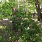 Здвинчане активно приняли участие в экологической акции