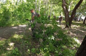 Здвинчане активно приняли участие в экологической акции