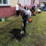 В регионе по нацпроекту высадили Аллею долголетия