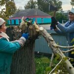 Сотрудники Сарыбалыкского СДК создают уют для посетителей