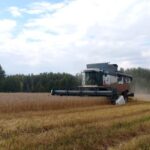 Уборочная кампания в Здвинском районе в самом разгаре