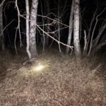 В Здвинском районе произошел незаконный отстрел косули в заказнике