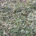 Значение Покрова Пресвятой Богородицы в православной культуре