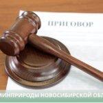 Мировой суд вынес приговор за браконьерство в Здвинском районе
