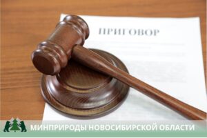 Мировой суд вынес приговор за браконьерство в Здвинском районе