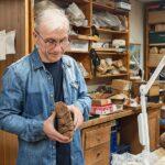 Останки сибирских мамонтов, найденные в Новосибирской области, помогают раскрыть причину их гибели