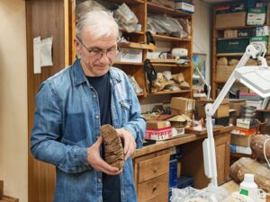 Останки сибирских мамонтов, найденные в Новосибирской области, помогают раскрыть причину их гибели