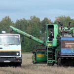 В регионе молодежь за трудоустройство в сельхозорганизации получает выплату