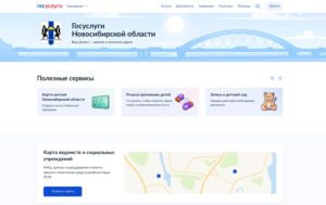 На Госуслугах доступны главные цифровые сервисы региона