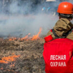 В регионе введен особый противопожарный режим
